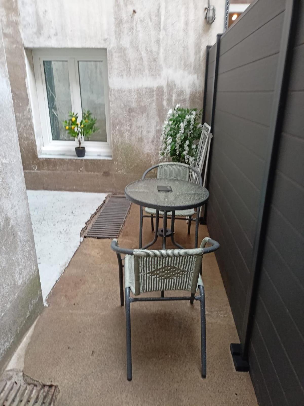 La Terrasse Zen Dacher - Superbe Appartement 30 M2 Tout Equipe Avec Terrasse Coeur Vichy Proche Gare Thermes Cures エクステリア 写真